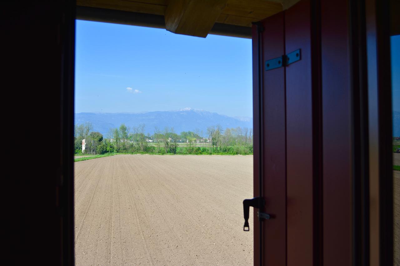 Agriturismo Borgo Tecla Rosa Exterior photo